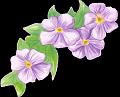 fleurs et nature (28)